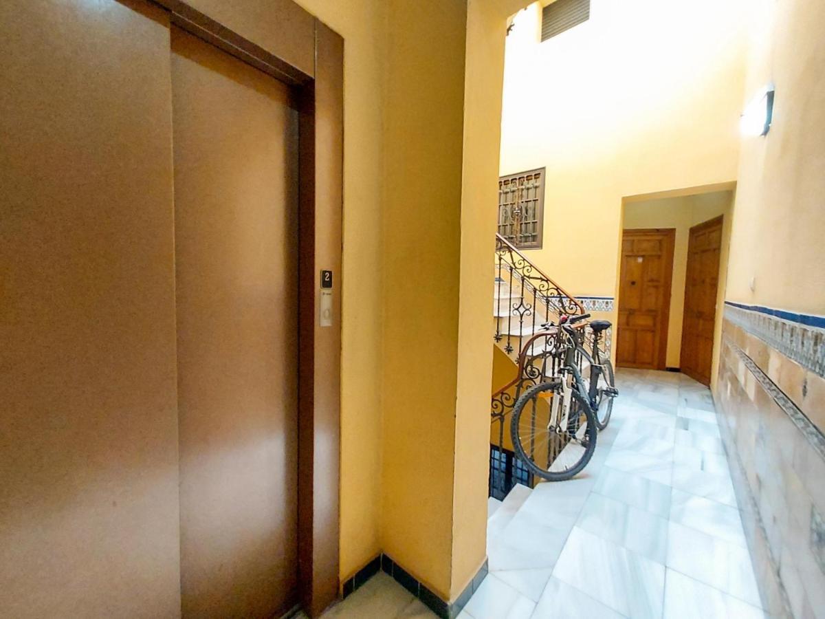 Apartamento Alameda Calatrava เซบีญา ภายนอก รูปภาพ